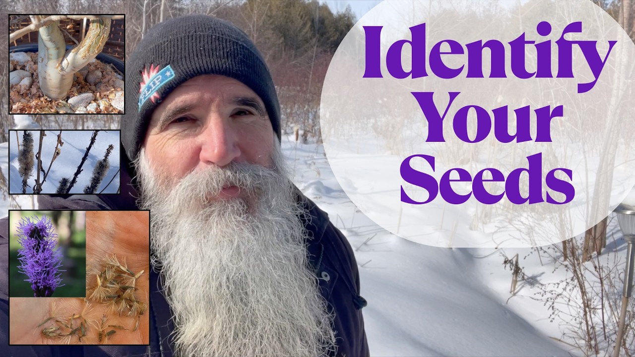 Идентификация зимних семян, восстановление естественной среды обитания и садовые воспоминания — о...