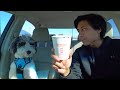 Getting Dunkin&#39;s Puppuccino + Jaxon Updates! (age, weight, therapy training, hip dysplasia, etc.)