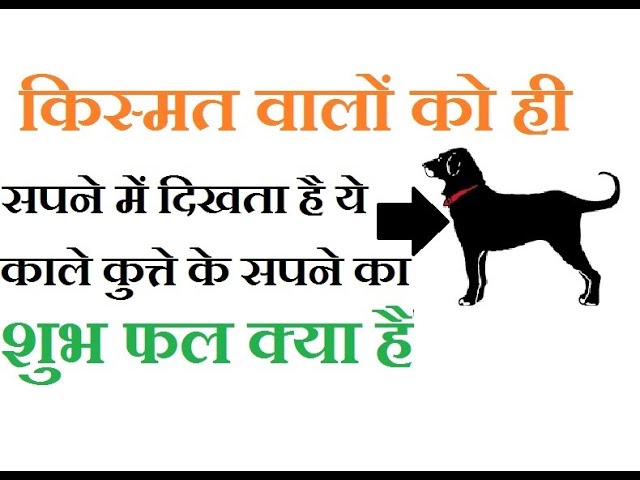 सपने में कुत्ते को देखना माना जाता है शुभ या अशुभ,क्लिक करके जाने