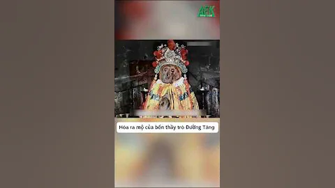 It turns out that the tombs of the four Tang Monks and disciples have been found completely #tayduky