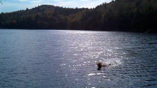 View at Lake Solitude