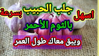 أسهل وانجح جلب الحبيب بالثوم الأحمر حتى يبق حبيب معاك طول العمر (السر الروحاني)