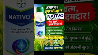 Nativo Fungicide का कमाल! फंगस होगा खत्म?