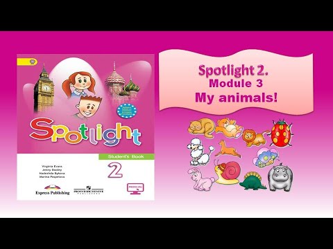 Wordwall spotlight 2 family