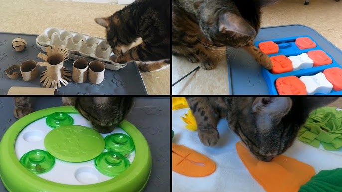 The Best Cat Food Puzzles - Cat Tested 
