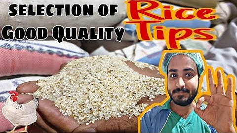 Selection of Good quality Rice Tips (Without Laboratory) for making Poultry feed🐓🐓