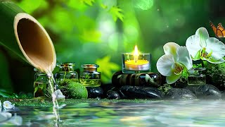 Relaxing Music, Calm Piano, Sounds for Sleep, Serene Water, Peaceful Environment, Meditation by Peaceful Heaven 627 views 2 weeks ago 3 hours
