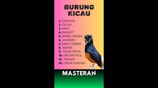 186 🔴 LIVE MURAI BATU MASTERAN MATERI 12 LENGKAP KASARAN || MURAI JUARA