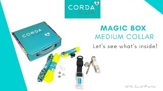 Diy Kit Paracord Kit Dog Collar - Medium Pets Corda Crafts