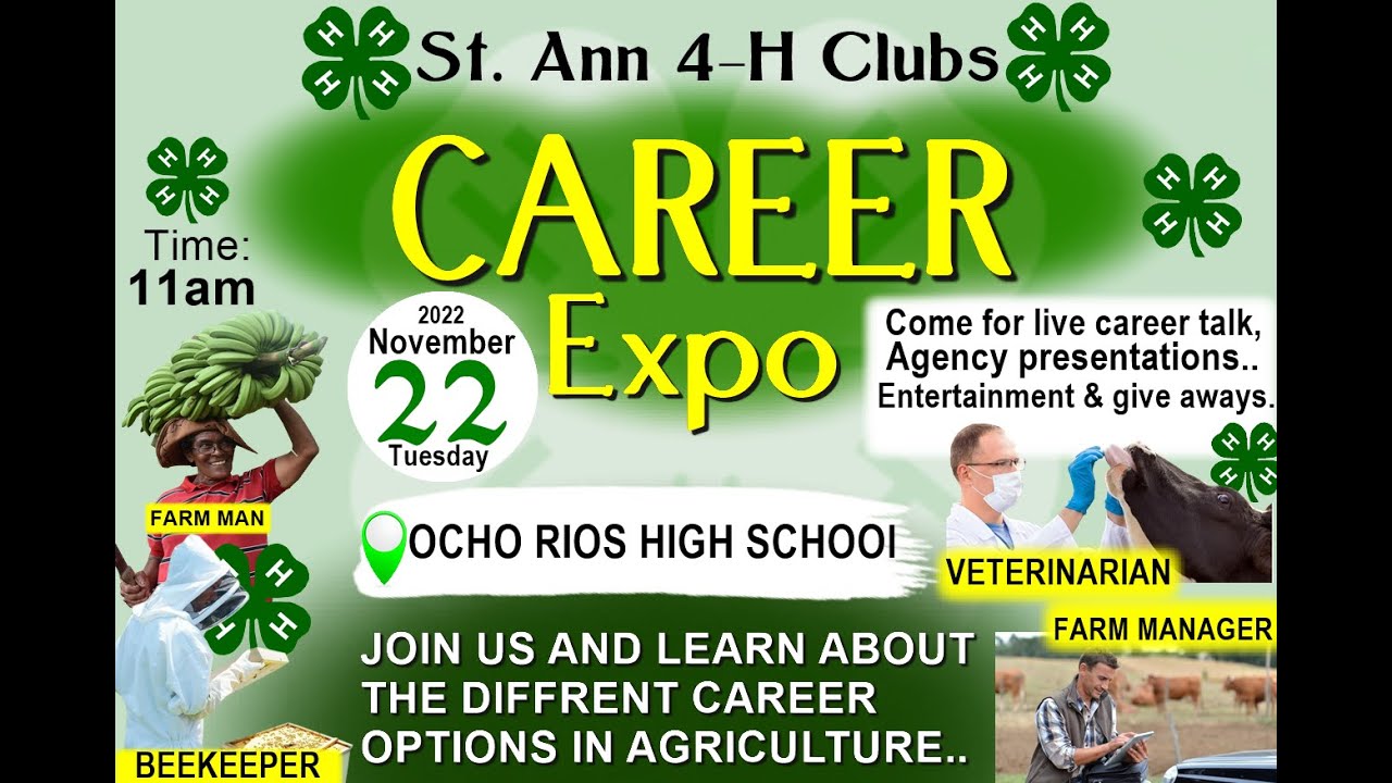 4 H Club Requirements 4 H Club Requirements