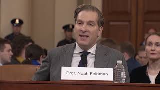 Law professor says Pres. Trump 'has committed impeachable high crimes'