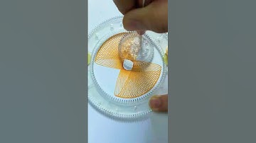 Mesmerizing Spirograph ASMR Sounds | Relaxing Spirals Art for Total Calm! #art #shorts #spirograph