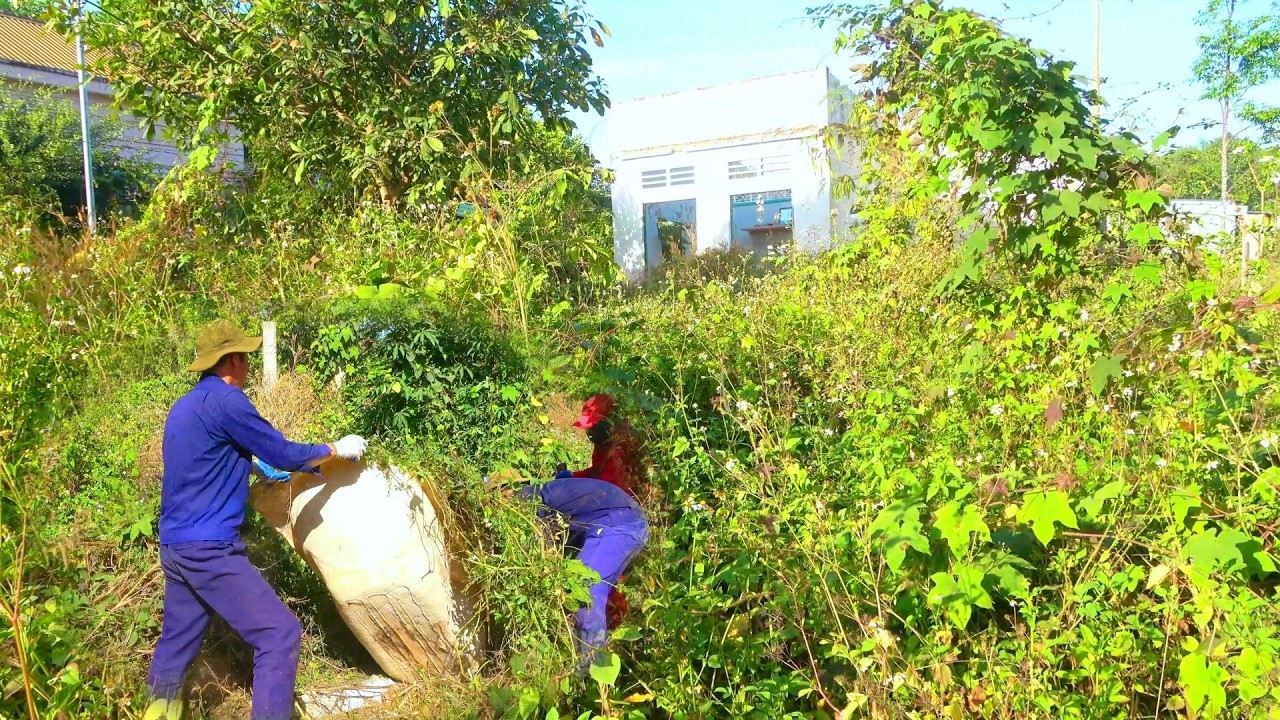 Неожиданное открытие чего-то, зарытого в заброшенном саду