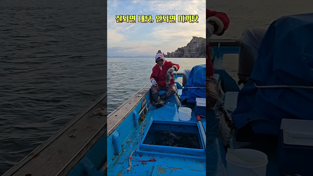 낚시 안되는 이유가 ???  미까탓 #백령도, #백령도해녀와사위, #선상낚시, #낚시