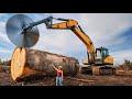 Inside a Modern Sawmill: From Pine Logs to Construction-Grade Lumber (Full Process).
