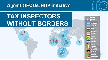 Tax inspectors without Borders