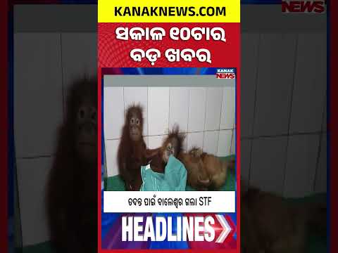 ସକାଳ ୧୦ଟାର ବଡ଼ ଖବର | 10AM Breaking News | 9th September 2026 | Odia News | Kanak News