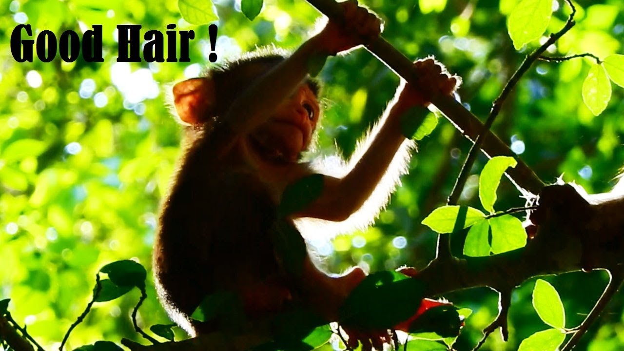 so beautiful in arabic Danaila Hair So Nice, Sunshine On Danaila Look So Beautiful hair