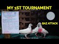 My 1st pigeon tournament do lot of fun today