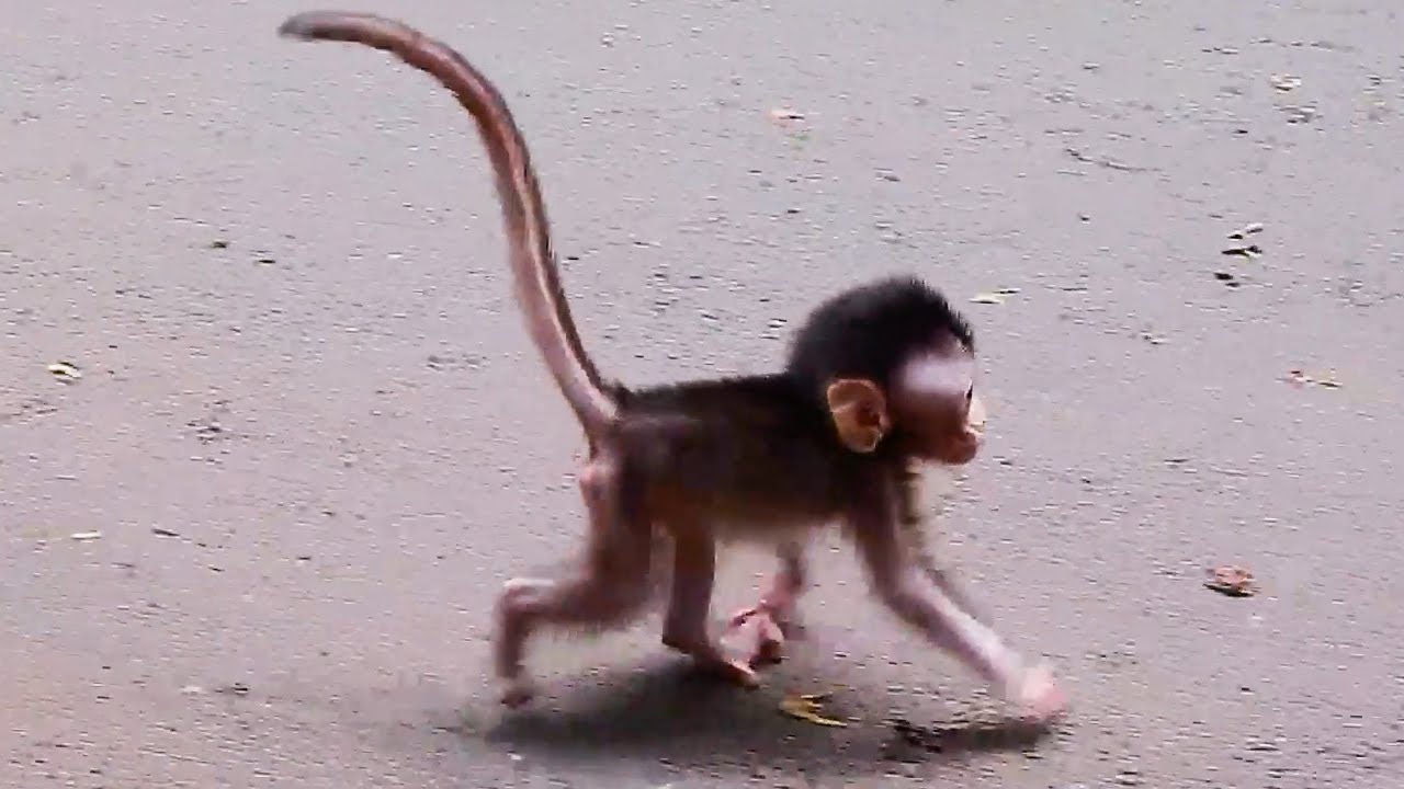 obviously all the blows she's given him to the head have made him stupid