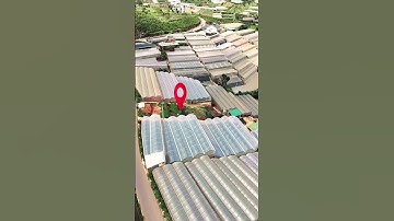 Đất Xuân Thọ Đà Lạt mặt tiền đường nhựa #batdongsan #nhadatdalat #drone #dji