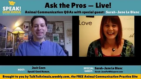 8 Questions About Animal Communication Answered by...