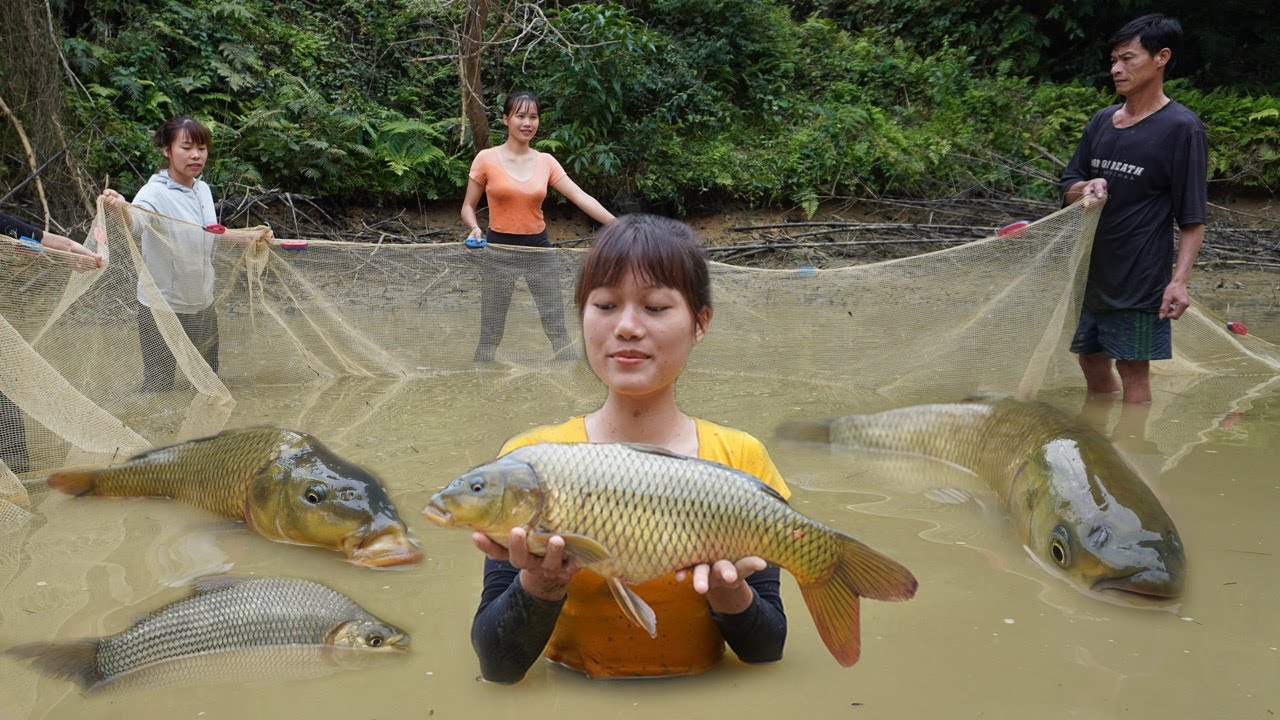The girls harvested many fish using a 30m long net - Amazing fishing ...