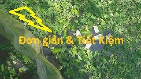 Cách Nuôi Trồng Bèo Thủy Sinh Đơn giản và tiết kiệm khi nuôi Ốc Bươu đen