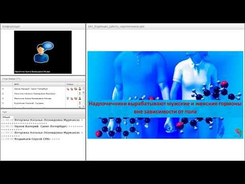 Биорезонансная терапия. Коррекция проблем надпочечников.