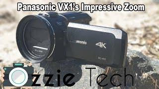 Panasonic VX1's Impressive Zoom