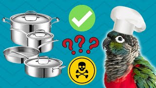 Parrot Safe Cookware and TOXIC Pans to AVOID | BirdNerdSophie by BirdNerdSophie 769 views 3 months ago 8 minutes, 13 seconds