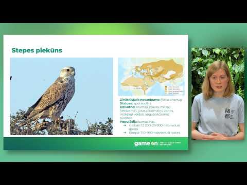 Video: Dabiskā populācijas samazināšanās Krievijā: cēloņi