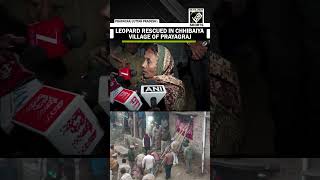 Timely Action By Villagers Helps Authorities Rescue Leopard From House In Chhibaiya, Prayagraj