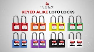 Keyed Alike Padlocks - 2 Keys | TRADESAFE