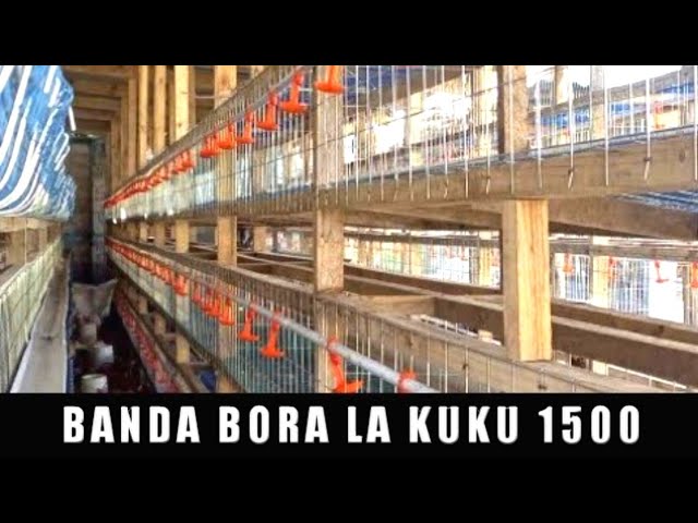 BANDA BORA LA KUKU 1500 KEREGE BAGAMOYO class=