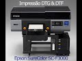 Epson F3000 DTG &amp; DTF