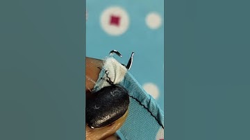 How to use Loop Turner? The Tools That Changed Everything