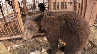 На свободу с чистой совестью.