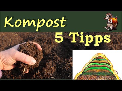 Video: Wofür kann Kompost verwendet werden?