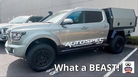 GVM upgrade + custom canopy on GWM