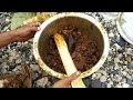 78 independence day celebration with friend at mingo river.