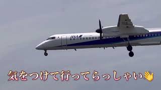 阿蘇熊本空港✈️ANA JAIR JAL みぞか号