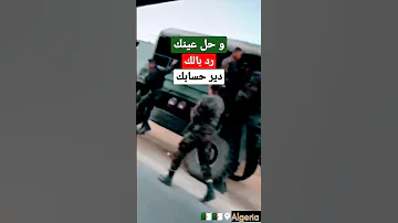 الجيش الجزائري دائما وأبدا Shorts الجزائر Morocco 