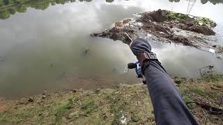 Охота с Рогаткой по реке (АРХИВ) SLINGSHOT FISHING