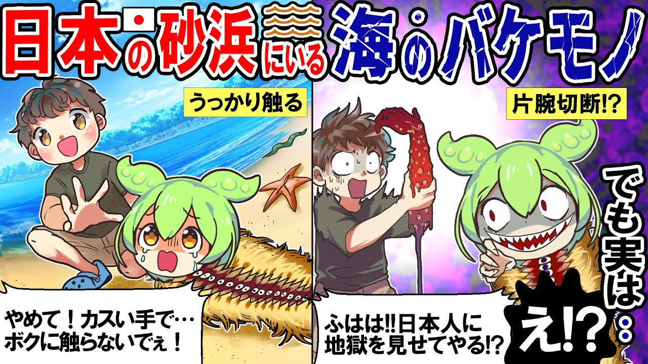 触ると腕が1本なくなる！？ 日本に普通にいる…外道と呼ばれた危険生物…知っておかないとヤバイ海のバケモノ「ウミケムシ」