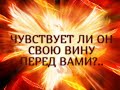 ЧУВСТВУЕТ ЛИ ОН СВОЮ ВИНУ ПЕРЕД ВАМИ?.. Гадание онлайн|Таро онлайн|Расклад Таро