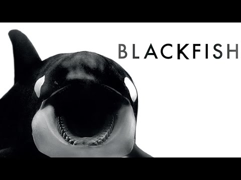 Blackfish - Bande-annonce - VOSTFR