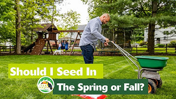 Should I Seed My Lawn in the Spring or Fall?