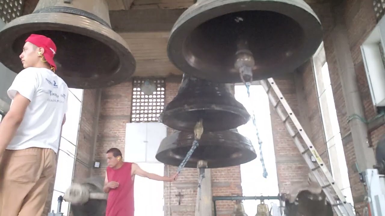 Visita De La Virgen De Zapopan A San Miguel Arcangel 2023