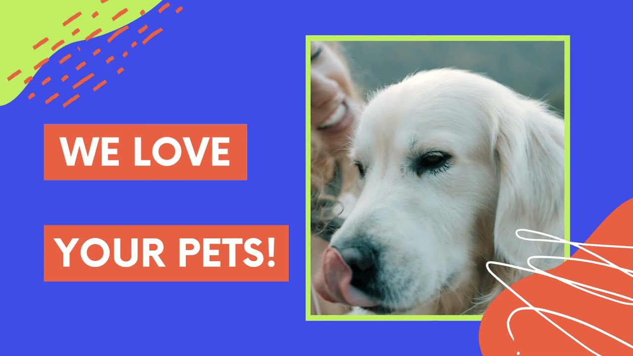 Diamonds in the Ruff Pet Resort and Salon | We Love to Care for Your Pets!